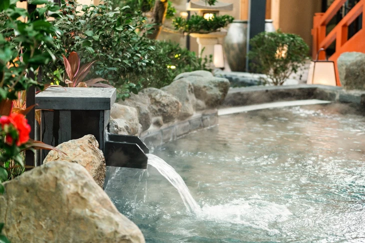 Forest Onsen - Ảnh 3.