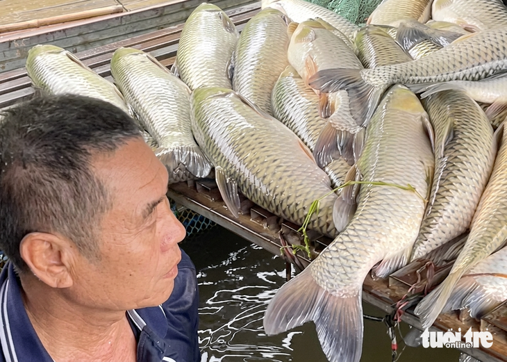  Nghệ An chỉ đạo rà soát nguồn thải - Ảnh 3.