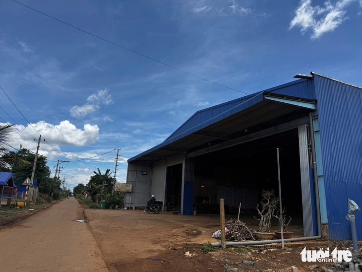 Kho sầu riêng mọc tràn lan ở Đắk Lắk, đường nông thôn quá tải - Ảnh 2.