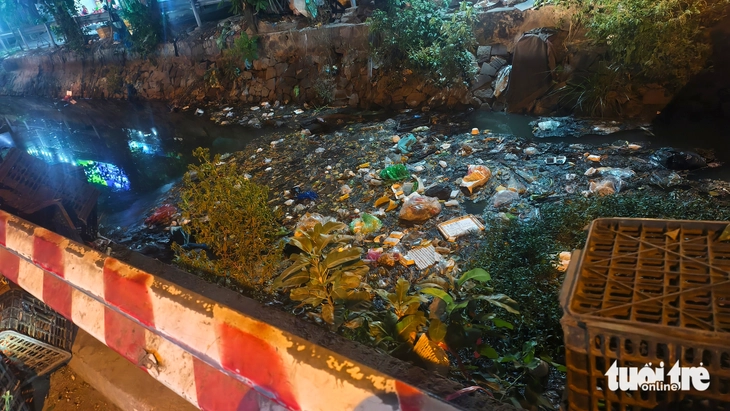 xả rác - Ảnh 3.