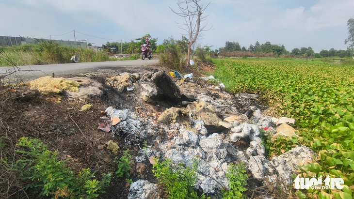 xả rác - Ảnh 33.