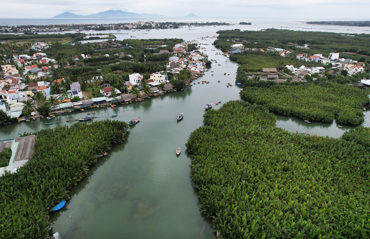 Rừng dừa Cẩm Thanh - Ảnh 2.