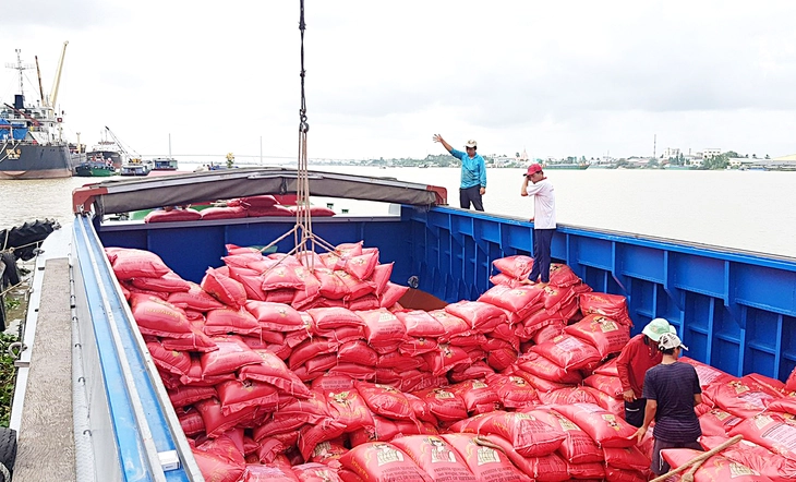 Giá gạo xuất khẩu Việt Nam tăng trở lại - Ảnh 1. giá gạo - Ảnh 1.