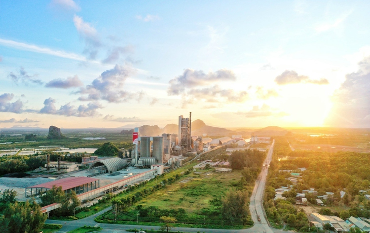 INSEE Việt Nam - Ảnh 3.