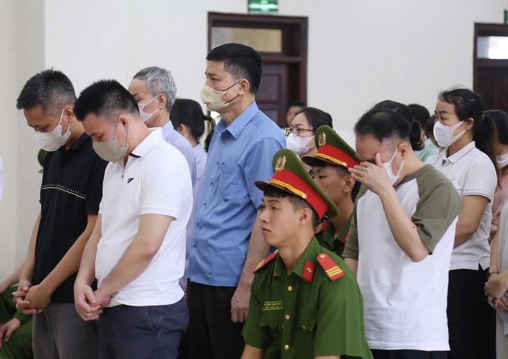 Hai cựu Cục trưởng An toàn thực phẩm hầu tòa phúc thẩm - Ảnh 1.