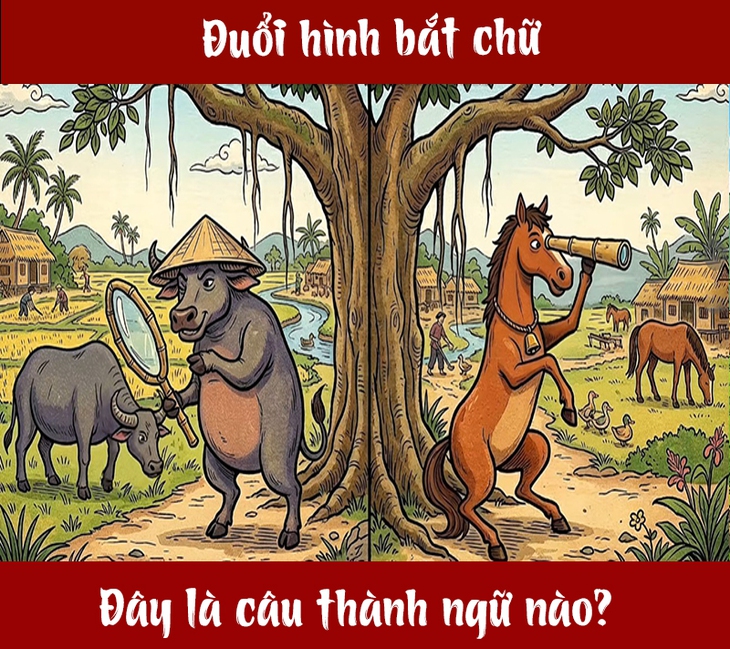 quiz - Ảnh 1.