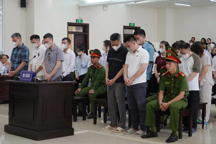 Cục an toàn thực phẩm - Ảnh 2.