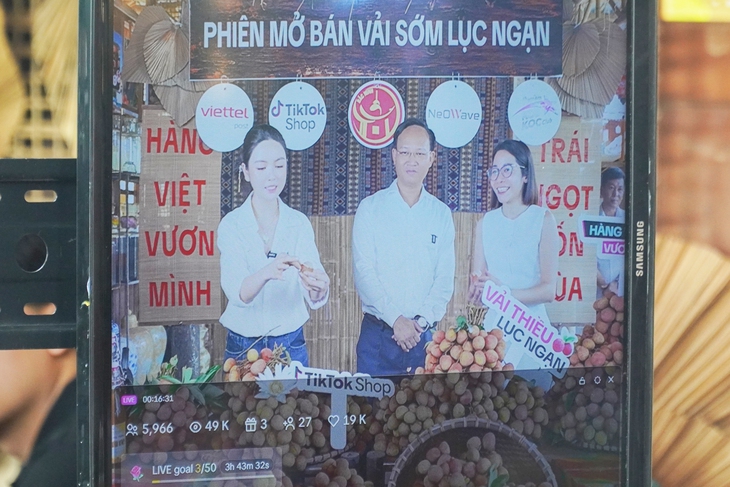 bán vải - Ảnh 2.