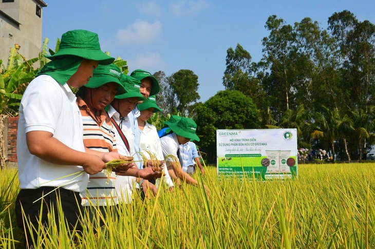 phân bón - Ảnh 4.