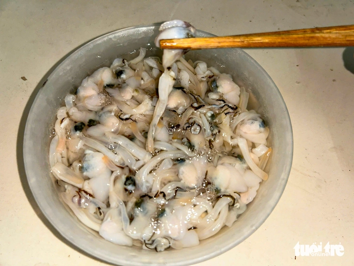 đèo Ngang - Ảnh 9.