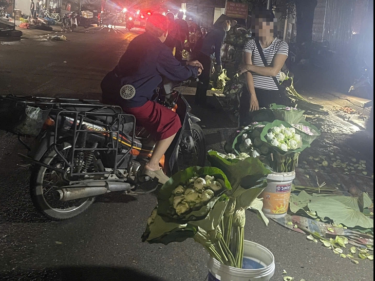 Hà Trì - Ảnh 1.