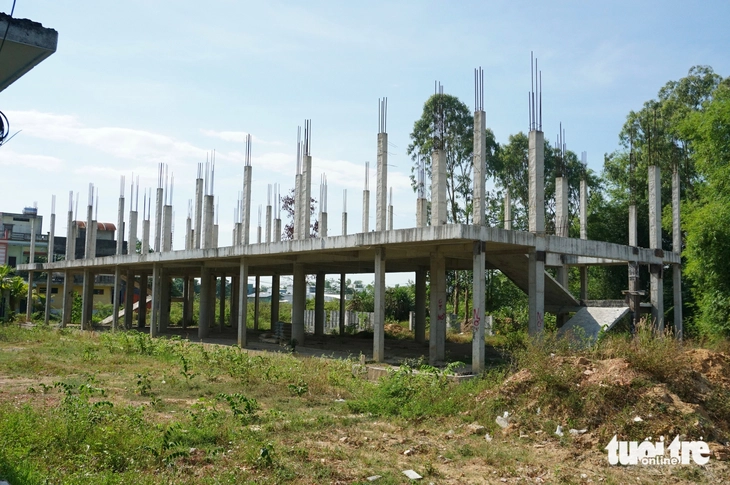 dự án - Ảnh 1.
