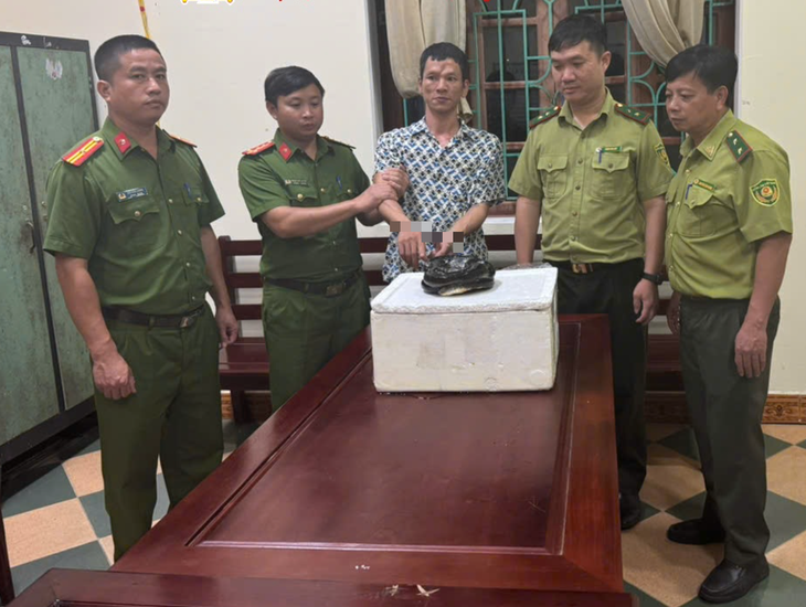rắn hổ mang chúa - Ảnh 1.