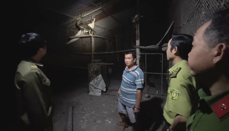 Nuôi nhốt chim công lục quý hiếm, người đàn ông tại TP.HCM bị khởi tố - Ảnh 3.