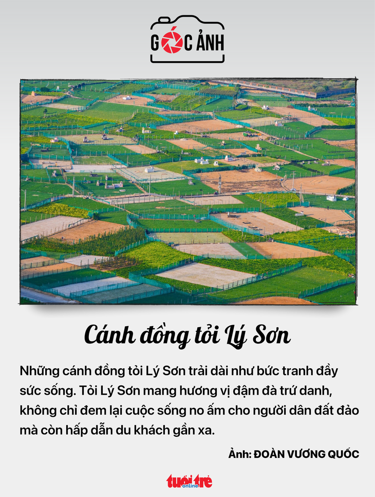tin tức - Ảnh 8.