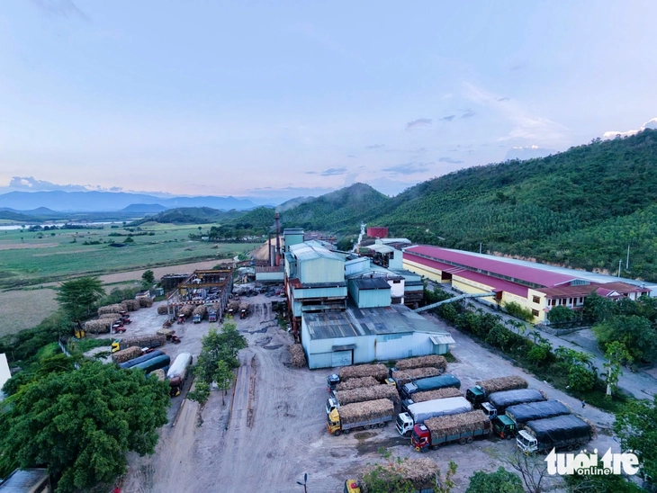 Nhà máy đường ở Đắk Lắk nêu nguyên nhân mua mía chậm, cam kết sẽ thu hết mía bao tiêu - Ảnh 2.