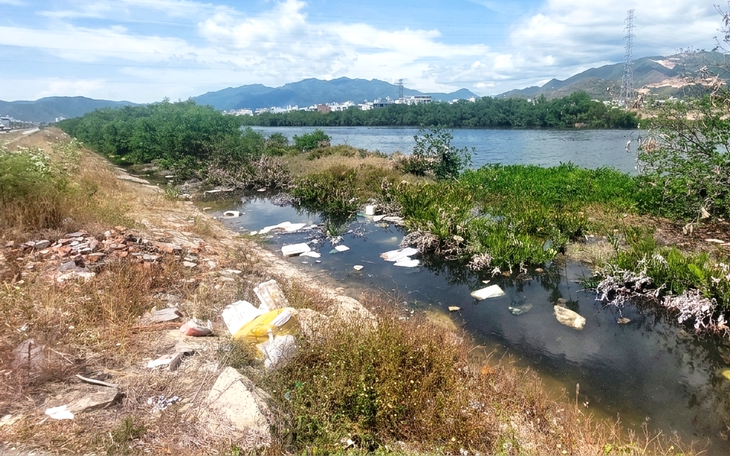 Dự án đô thị ở Nha Trang không được phép bán hoặc cho người nước ngoài thuê mua - Ảnh 5.