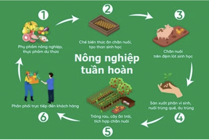nông nghiệp - Ảnh 3.
