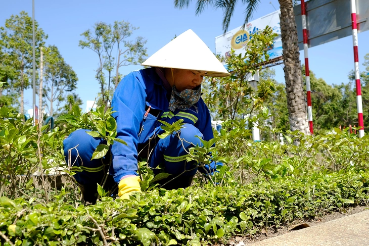 Nắng nóng gay gắt, nguy cơ sốc nhiệt, hô hấp, tim mạch - Ảnh 2.