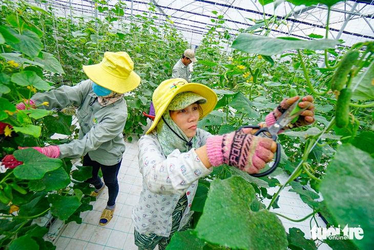 Làm nông thời công nghệ: nhìn trời, nhìn đất và... lo hết pin - Ảnh 1.