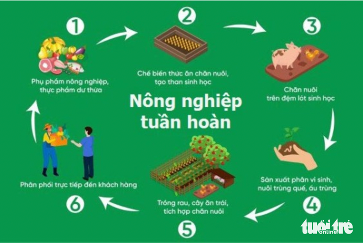nông nghiệp - Ảnh 3.