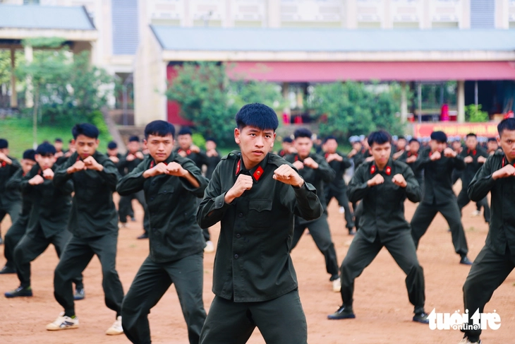 tân binh - Ảnh 14.