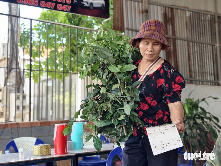 ô nhiễm - Ảnh 2.