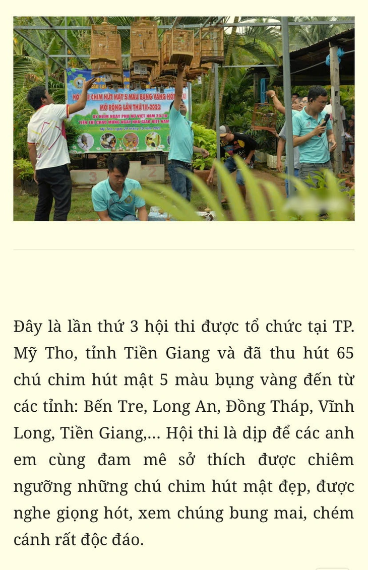 chim hút mật - Ảnh 5.