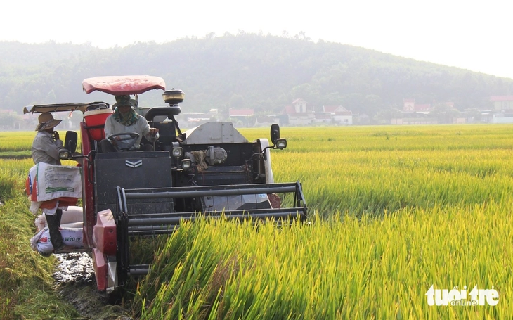 trốn nắng - Ảnh 9.