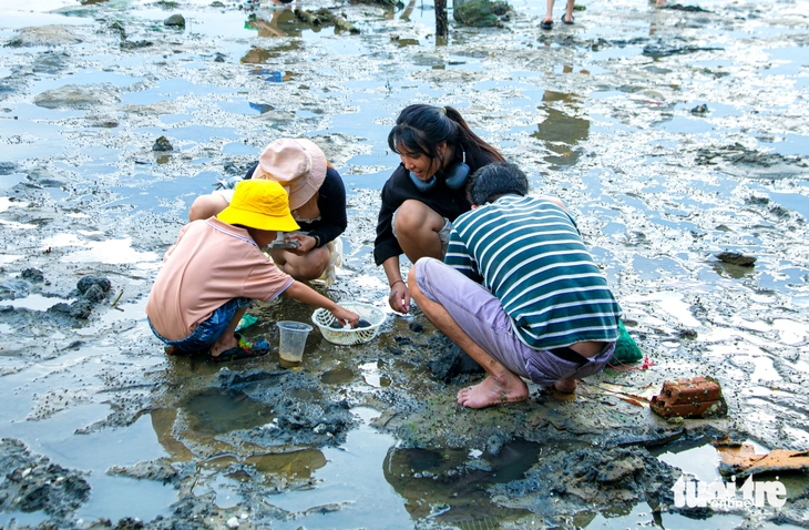 ốc móng tay - Ảnh 4.