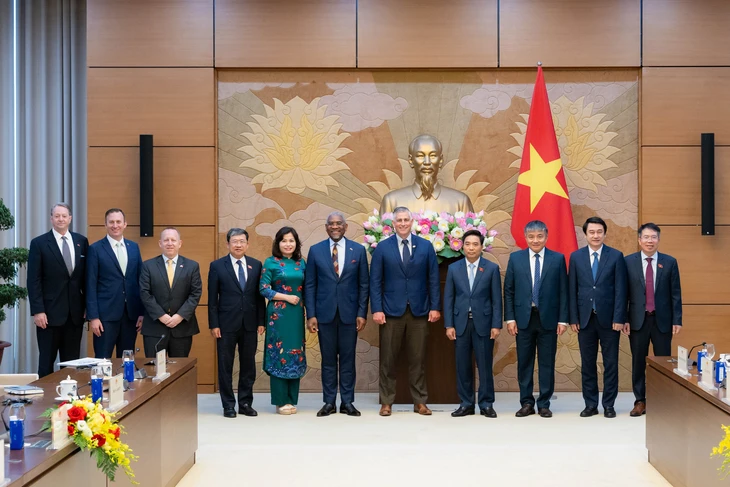 'Việt Nam không có chính sách tạo dư thừa công suất sản xuất công nghiệp' - Ảnh 4.