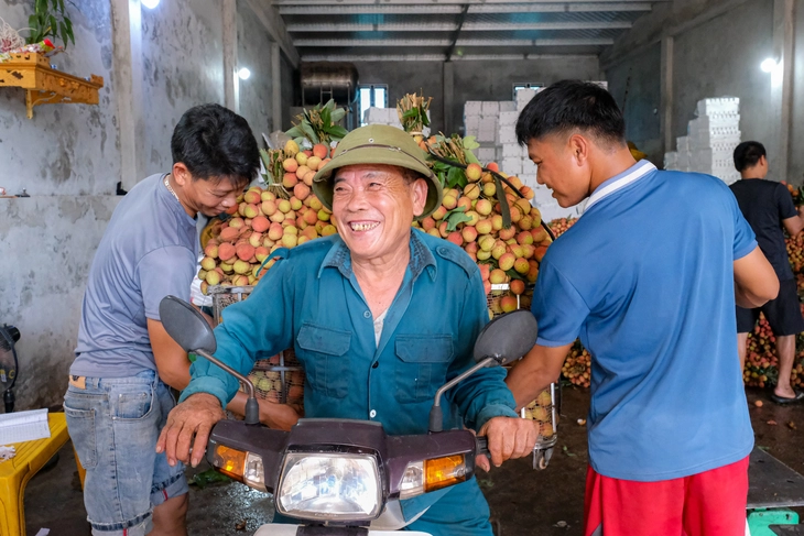 vải thiều - Ảnh 9.