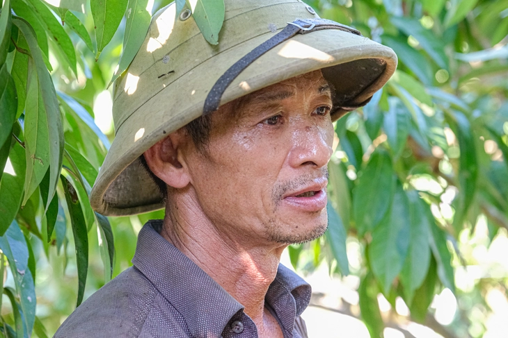 vải thiều - Ảnh 6.