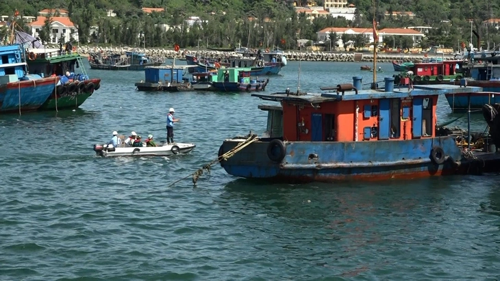 Hải phòng - Ảnh 1.