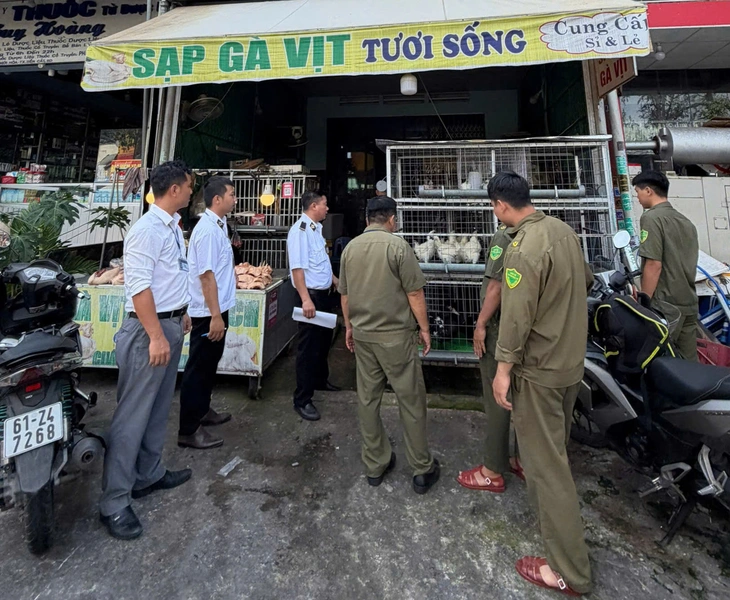 TP.HCM: Tăng kiểm tra tại các chợ, nhiều tiểu thương bị phạt vì địa điểm giết mổ gà, vịt - Ảnh 4.