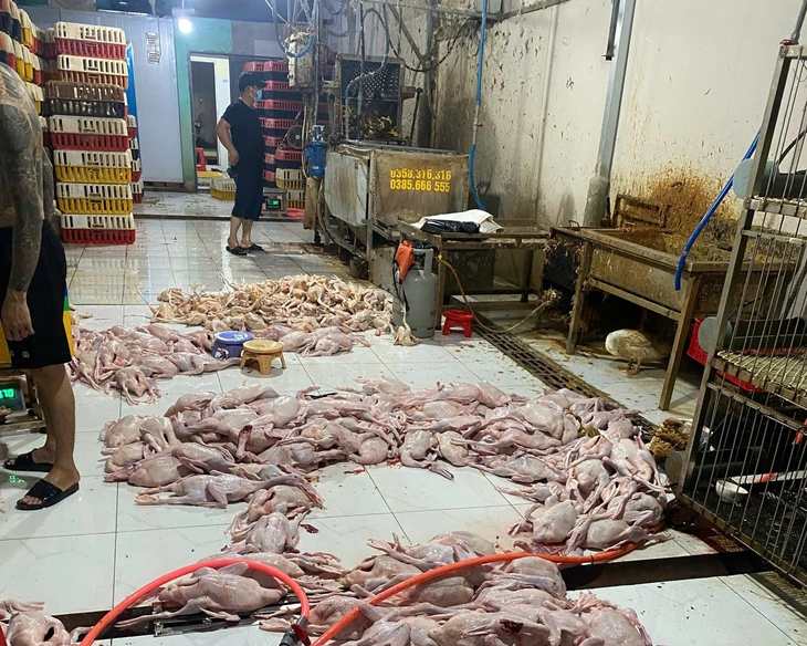 TP.HCM: Tăng kiểm tra tại các chợ, nhiều tiểu thương bị phạt vì địa điểm giết mổ gà, vịt - Ảnh 3.