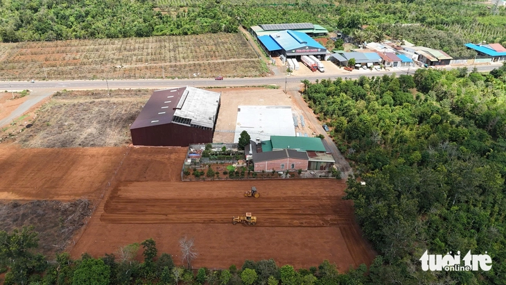 Cả chục kho sầu riêng xây mới tại một xã ở Đắk Lắk đều không phép - Ảnh 3.