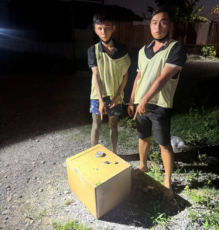 trộm cắp tài sản - Ảnh 3.