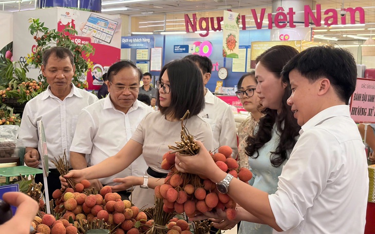 Ra mắt Co.op Food thế hệ mới, mở rộng chiến lược bán lẻ hiện đại   - Ảnh 2.