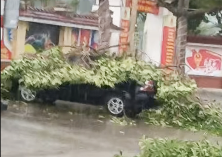 mưa dông - Ảnh 3.