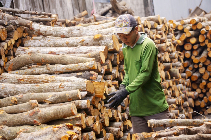 Lênh đênh chợ củi Ngã Bảy - Ảnh 3.