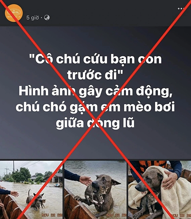 Báo chí không thể một mình chống lại 'content bẩn' - Ảnh 2. báo chí - Ảnh 2.