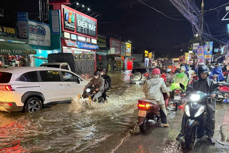 mưa - Ảnh 3.