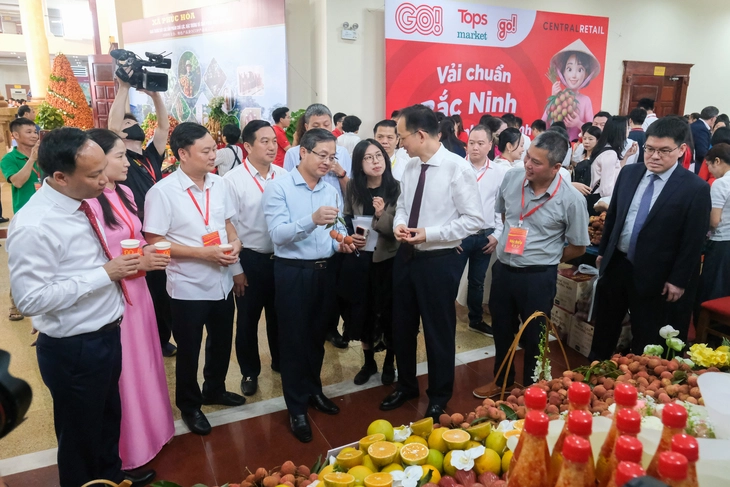 vải thiều - Ảnh 3.