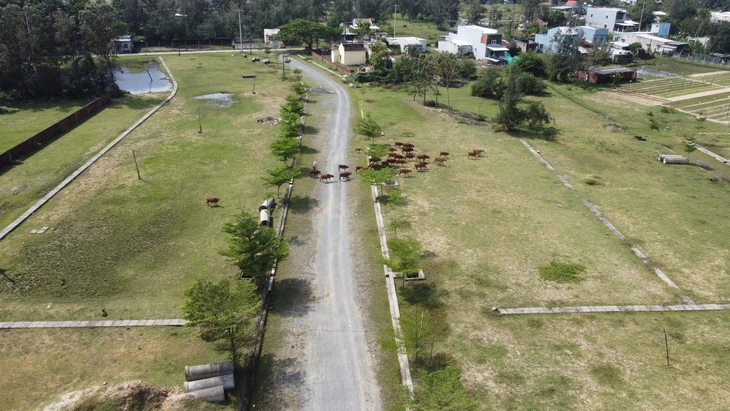 Bách Đạt An - Ảnh 2.
