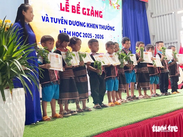 sâm Ngọc Linh - Ảnh 3.