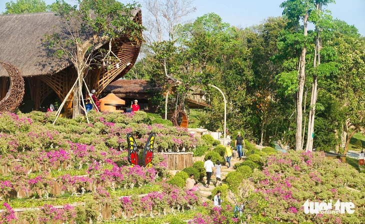 Phú Quốc - Ảnh 3.