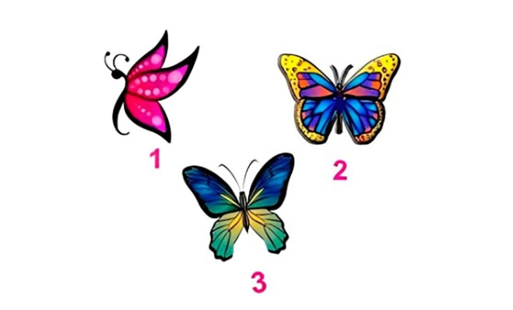 quiz - Ảnh 1.