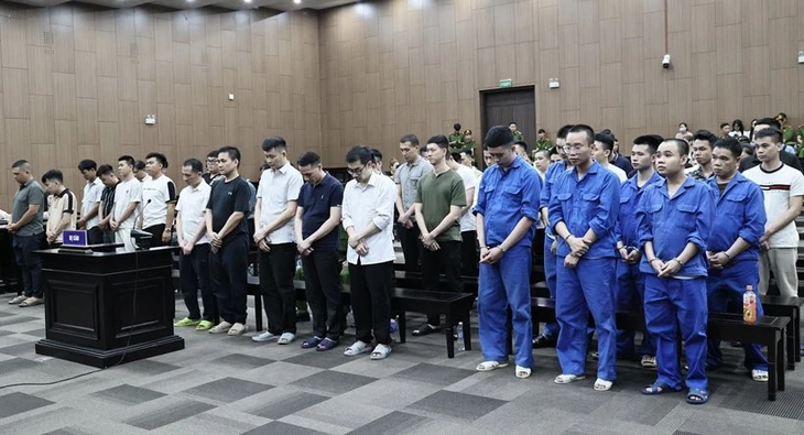 cá độ - Ảnh 3.