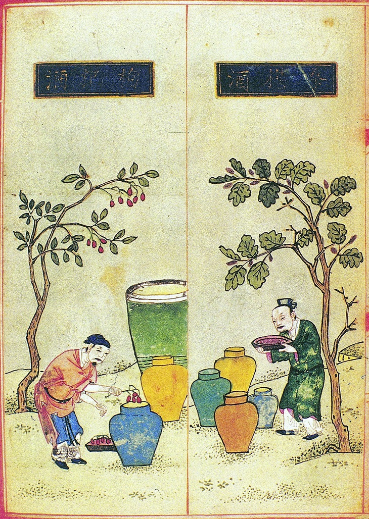 Món ăn việt nam - Ảnh 6.